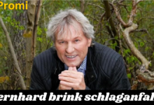 bernhard brink schlaganfall