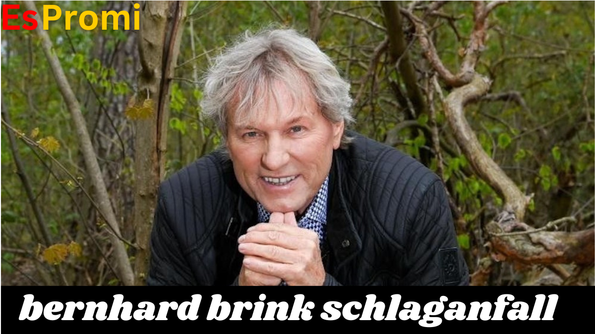 bernhard brink schlaganfall