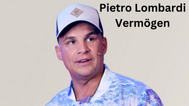 pietro lombardi vermögen