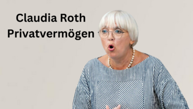 claudia roth privatvermögen